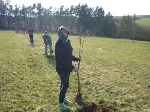 Brigáda - sázení ovocných stromů